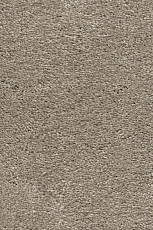 Ковролин AW Invictus Heroicus 32 фото 1 | FLOORDEALER